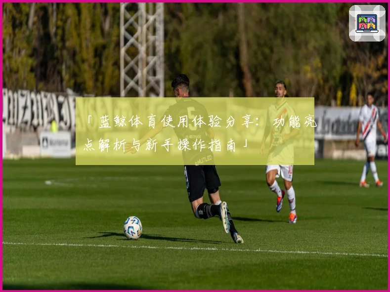 「蓝鲸体育使用体验分享：功能亮点解析与新手操作指南」