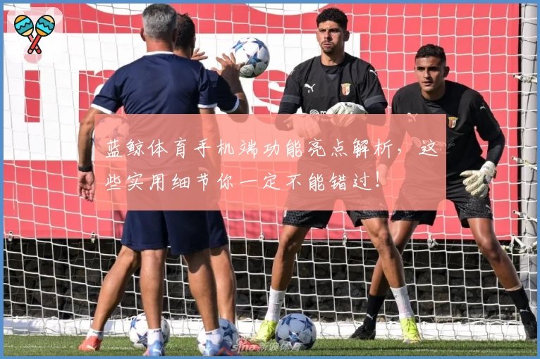 蓝鲸体育手机端功能亮点解析，这些实用细节你一定不能错过！