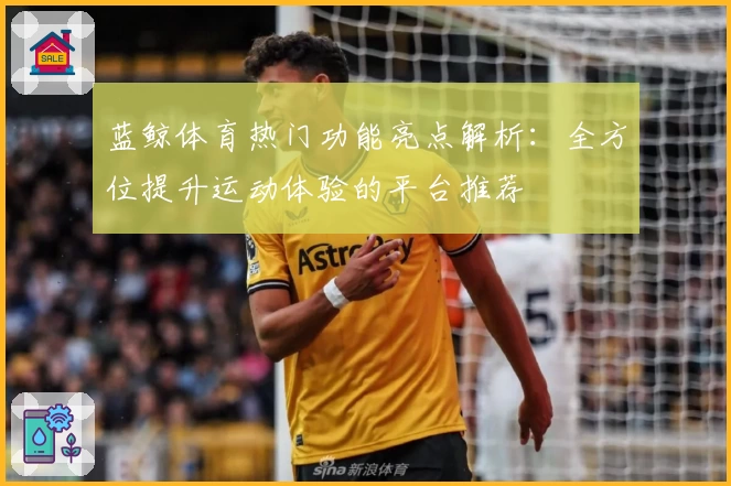 蓝鲸体育热门功能亮点解析：全方位提升运动体验的平台推荐