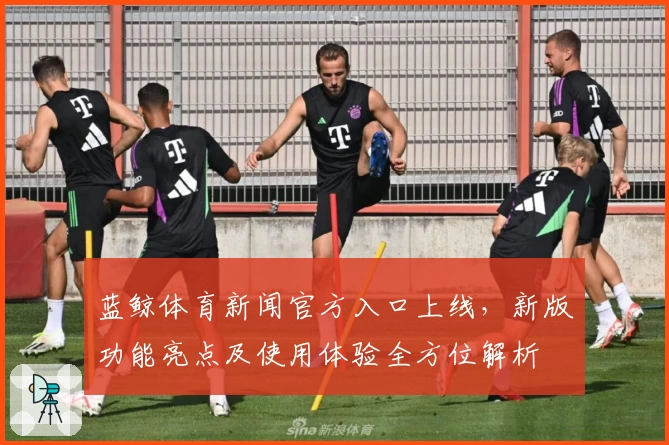 蓝鲸体育新闻官方入口上线，新版功能亮点及使用体验全方位解析