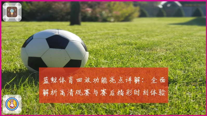 蓝鲸体育回放功能亮点详解：全面解析高清观赛与赛后精彩时刻体验