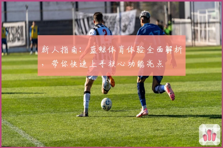 新人指南：蓝鲸体育体验全面解析，带你快速上手核心功能亮点