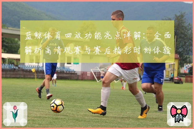 蓝鲸体育回放功能亮点详解：全面解析高清观赛与赛后精彩时刻体验