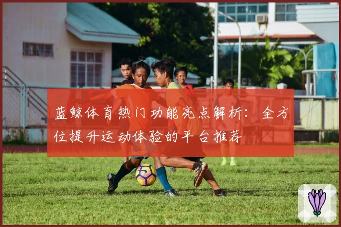 蓝鲸体育热门功能亮点解析：全方位提升运动体验的平台推荐