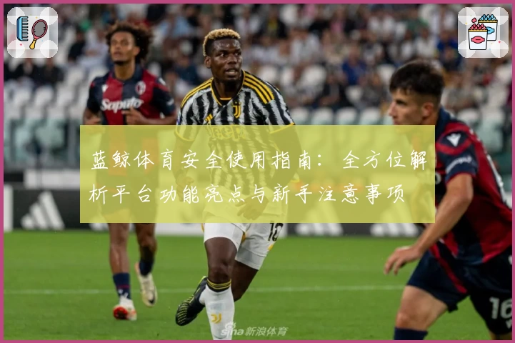 蓝鲸体育安全使用指南：全方位解析平台功能亮点与新手注意事项