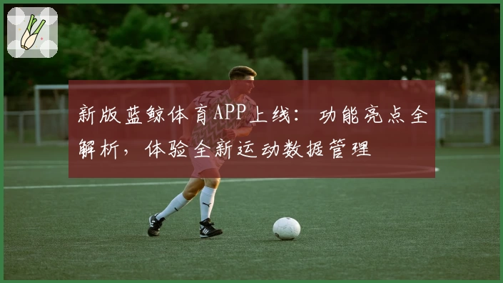 新版蓝鲸体育APP上线：功能亮点全解析，体验全新运动数据管理