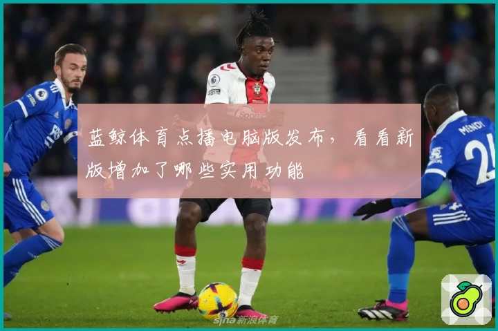 蓝鲸体育点播电脑版发布，看看新版增加了哪些实用功能