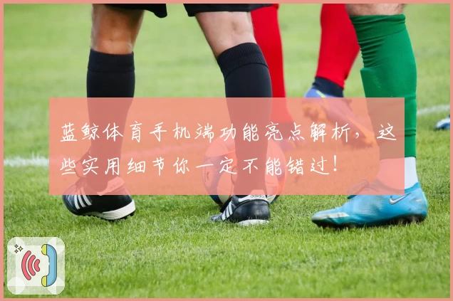 蓝鲸体育手机端功能亮点解析,这些实用细节你一定不能错过!