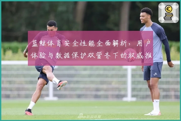 蓝鲸体育安全性能全面解析，用户体验与数据保护双管齐下的权威推荐